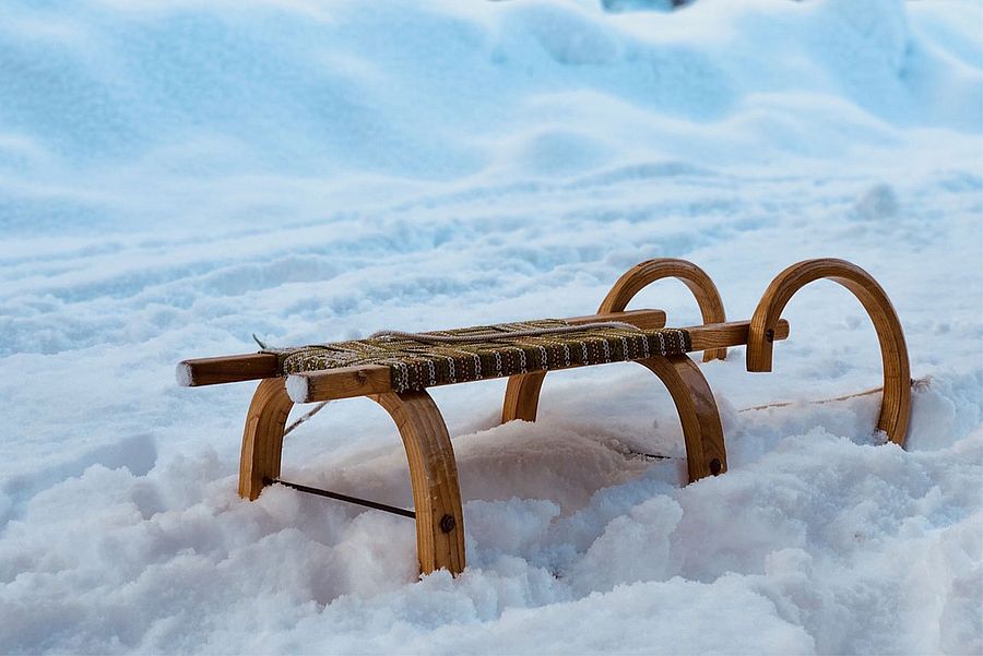 RODELN IM WINTERWALD