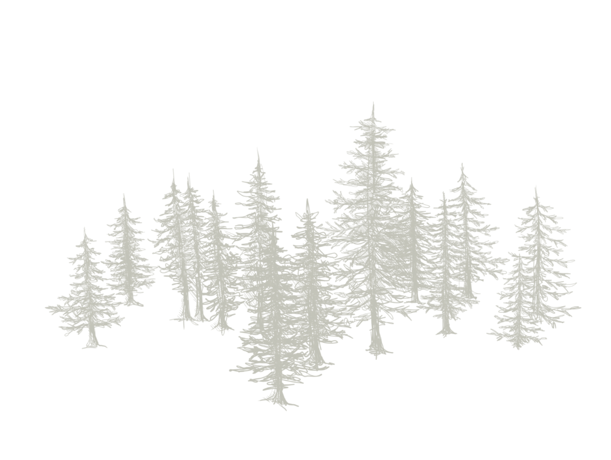 Grafik, grauer Wald Grafik, grauer Wald