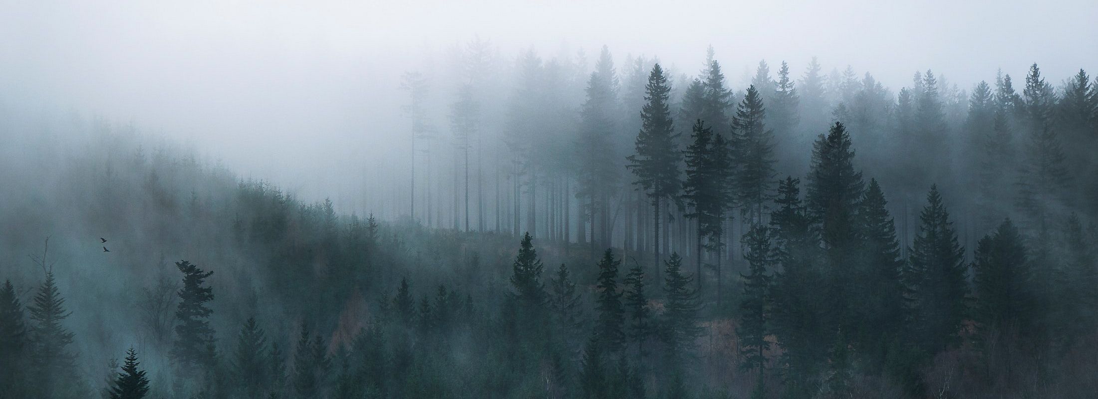 Nebel in den Bergen von Osttirol