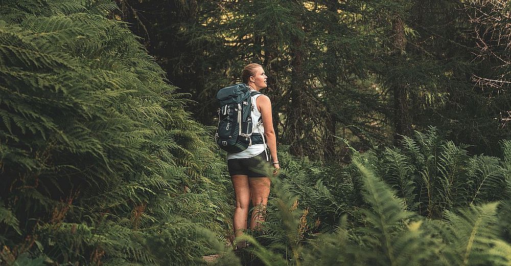 Hiking in Innergschlöss