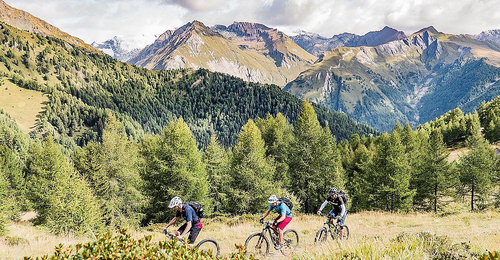 MTB Singletrail Kals, Bikepark Großglockner